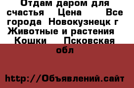 Отдам даром для счастья. › Цена ­ 1 - Все города, Новокузнецк г. Животные и растения » Кошки   . Псковская обл.